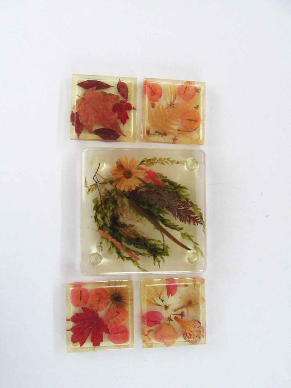 Coasters & trivet/cutting board with dried fall leaves & flowers acrylic  1960s